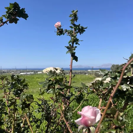 My Star Appartamento *