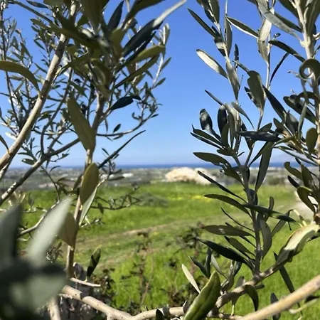 Lejlighed My Star Pili (Kos)