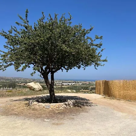 My Star * Pili (Kos)