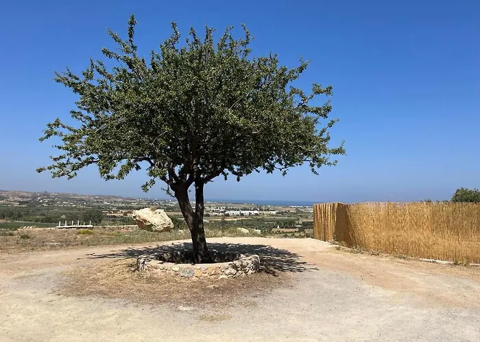 My Star * Pili (Kos)